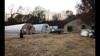 Cleaning Out The Tomato Greenhouse For Spring Planting [upl. by Apul]