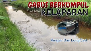 RELL BC SHIMANO SLX XT 151 HG MEMUDAHKAN CASTING GABUS SAAT MUSIM KEMARAU [upl. by Aliekat]