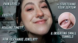 a 101 guide on septum piercings [upl. by Malony]