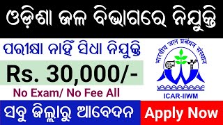 Odisha Water Department Recruitment 2024  Odisha Govt Job  Odisha Block Level Job [upl. by Ecyob]