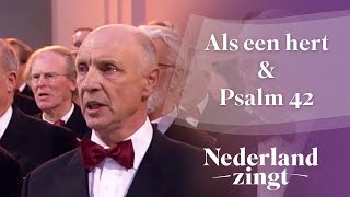 Nederland Zingt Als een hert amp Psalm 42 [upl. by Vtehsta634]