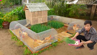 My wife likes chicken coop combined with growing organic vegetables  Mini budget ideas [upl. by Milicent209]