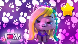 🙌🏻 Добро пожаловать в Кэттаун 😻 Сезон 3 🌟 ВИП ПЕТС 🌈 VIP PETS 🌈 ПОЛНЫЕ Эпизоды 🤩 Мультики на РУССКОМ [upl. by Accebber331]