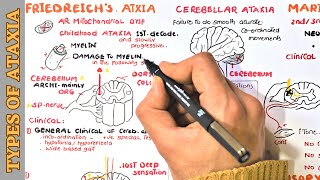 Cerebellar Ataxia  Friedreich ataxia  Maries ataxia  and Sensory ataxia [upl. by Tanhya213]