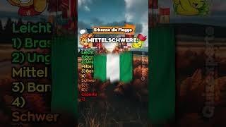 Flaggenquiz Welche Flagge ist das  shorts flaggen challenge [upl. by Aniratak]