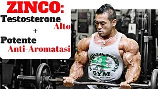 ZINCO Integratore importantissimo per gli SPORTIVI  TESTOSTERONE amp ESTROGENI [upl. by Lerret634]