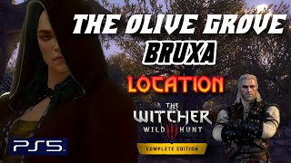 The Witcher 3 Olive grove bruxa  location [upl. by Ynahirb]