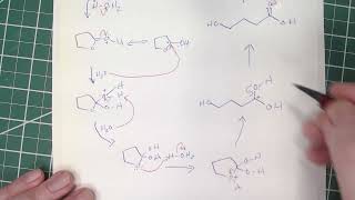 Organic Chemistry II CHEM2425 Ch 20 Carboxylic Acids and Derivatives Part 3 [upl. by Anyek]