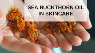 Sea Buckthorn Oil Benefits for Skin  Sea Buckthorn Oil in Skincare [upl. by Eilac]