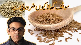 Amazing Fennel Seed Benefits [upl. by Aiet]