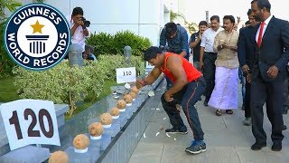 Most coconuts smashed in a minute  Guinness World Records [upl. by Wellington]