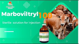 MARBOVITRYL 100  Effective for all infectious diseases on animal [upl. by Stretch]