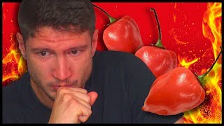 HABANERO essen und VERSUCHEN RUHIG zu bleiben  Chilli Challenge  SerienReviewer [upl. by Jewell]