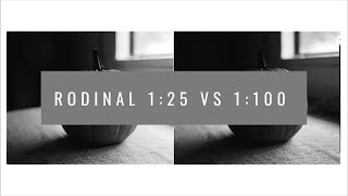 Rodinal 125 vs 1100 [upl. by Nnaeitak4]