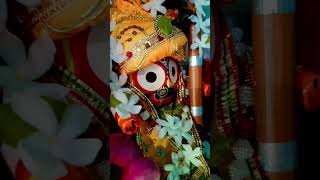 jagannath jagannathlover jagannthbhajan jagannathbhajan 🙏🙏🙏 [upl. by Ahsad608]