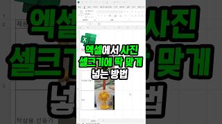 셀에 딱 맞게 이미지 넣는 방법 계속해서 수정 가능한 꿀팁 [upl. by Teteak460]