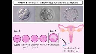 SVT 2nde  23 lassistance médicale à la procréation 12 [upl. by Candyce]