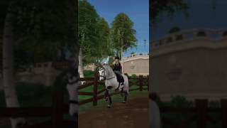 🎧🤤 sso starstableonline starstable edit horse старстейбл [upl. by Nibuz]