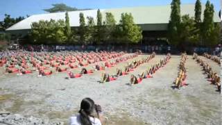 CHAMPION  Grade 8 DMNHS Field Demonstration 2014 Part 1 [upl. by Flyn]