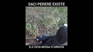 SACI PERERE SE ESCONDE NA FLORESTA [upl. by Mya]