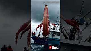 fishing squid seaworm sealife amazing fisherman octopus jellyfish aigenerated generator [upl. by Hpsoj]