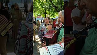 🇵🇹🪗 Roda concertinas arcosdevaldevez minho portugal folclore folk folklore folkdance [upl. by Vinny83]