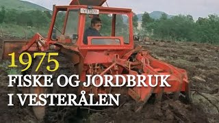 Fiske og jordbruk  er det fremtiden for Vesterålen 1975 [upl. by Ennayram990]