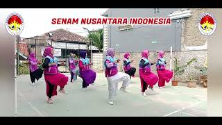 SENAM KREASI  VIRAL  RASA SAYANG SAYANGEAmsyar Leee  Choreo by Adi Tinie OKe  SNIPUSAT [upl. by Meid]