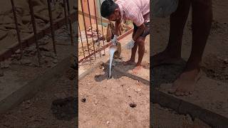 ANTI TERMITE TREATMENT OF OUR CONSTRUCTION SITE [upl. by Vani]