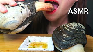 ASMR GIANT GEODUCK CLAM SHELL EATING SOUND 코끼리 조개 왕우럭조개 Kerang gajah ช้างหอย Động vật có vỏ 象貝 [upl. by Krutz]