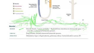 53 Mannitol  Osmotic Diuretic [upl. by Acul151]