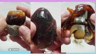 Cracking Century Duck 🪿🐣 Egg Black Duck Egg satisfying Duck 🦆🥚Egg [upl. by Grochow852]