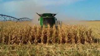 Corn Harvest [upl. by Marcelle]