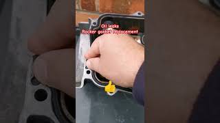 Rocker gasket replacement shorts youtube video foryou [upl. by Giwdul]