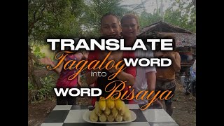 Mga Tagalog Words na iba ang kahulugan sa Bisaya [upl. by Enautna]