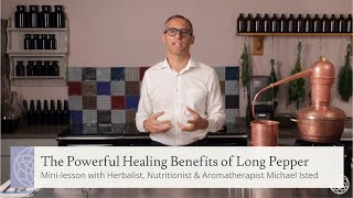 MiniLesson  The Powerful Healing Benefits of Long Pepper or Piperine [upl. by Kirschner]