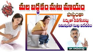 Motion Problem Diet Plan  Constipation Home Remedies  Indigestion  Dr Ramachandra  Hi TV Life [upl. by Solotsopa205]