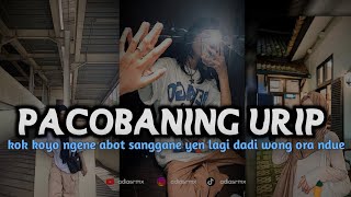 DJ KOK KOYO NGENE ABOT SANGGANE  PACOBANING URIP VIRAL TIKTOK ADI AS RMX [upl. by Earlie142]