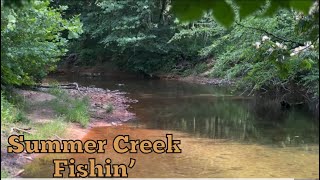 Multi species Creek Bank Fishing [upl. by Petronilla258]