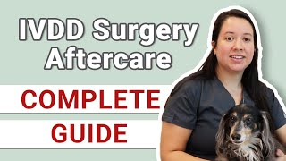 How to Care for a Dog After IVDD Surgery  Instructions Guide [upl. by Nnairrehs195]