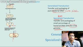 Generalized transduction vs Specialized Transduction [upl. by Eidnas]