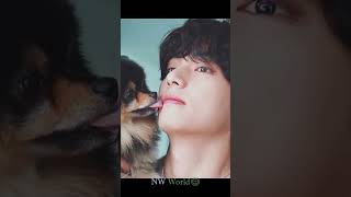 BTS v with his dog yeontan v yeontan youtubeshorts [upl. by Ardnot]