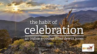 The Habit of Celebration [upl. by Anoyi]