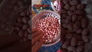 aaj ki Bhel pudi bnai 😱😲minivlog16 minivlog newminivlog ashortaday tranding video [upl. by Drapehs236]