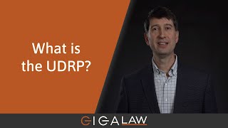 Domain Dispute Masterclass 2 What is the UDRP [upl. by Kurr861]