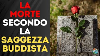 LA MORTE Non Deve Far Paura Ecco Quello Che Dovremmo Ricordare Tutti Buddismo Zen [upl. by Derr]