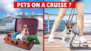 What Are The 6 Cruises You Can Take Your Pets On [upl. by Ettennal]