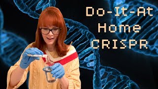 My First CRISPR Kit [upl. by Divadnoj]