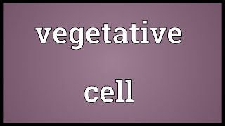 Vegetative cell Meaning [upl. by Macguiness280]