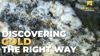 New Found Gold  Discovering Gold The Right Way TSXV NFG NYSEA NFGC [upl. by Zaob]